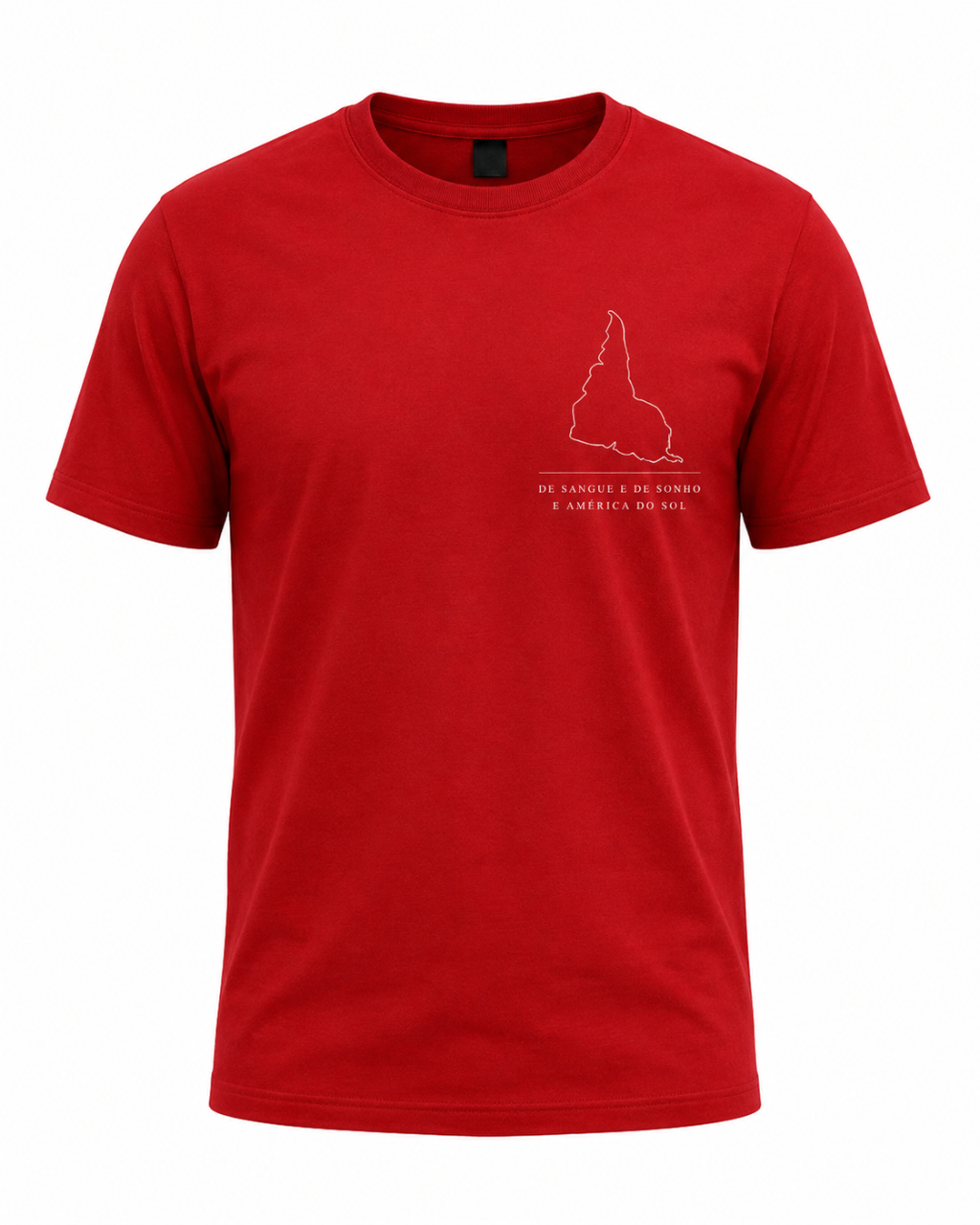 Viva a América! — camiseta com estampa autoral